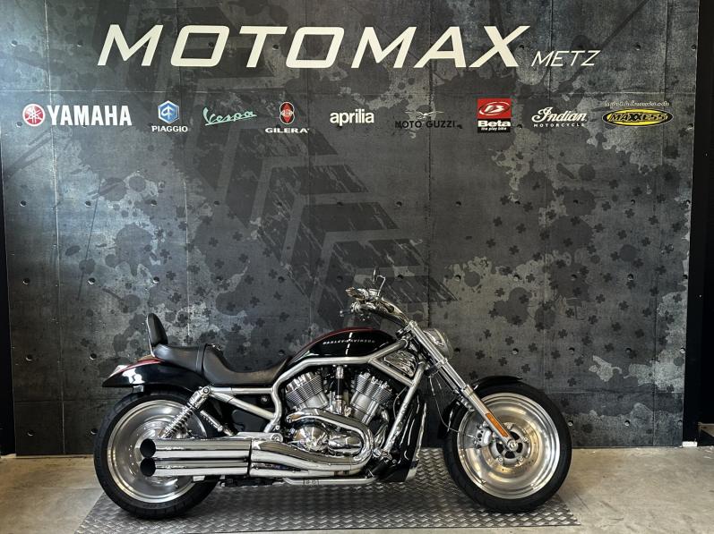 HARLEY-DAVIDSON V-ROD 1130 ZEBRING