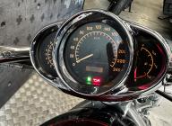 HARLEY-DAVIDSON V-ROD 1130 ZEBRING
